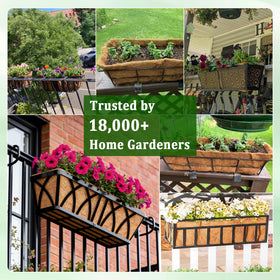 Halatool coir liner for outdoor display anchors plants while blending into decor.