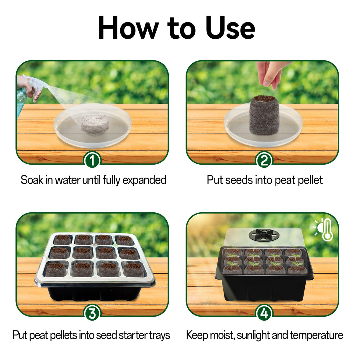 Halatool dome lid provides humidity control and visible progress during germination.