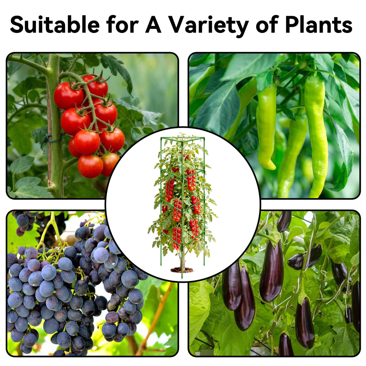 Halatool durable steel core offers strong, resilient plant support.