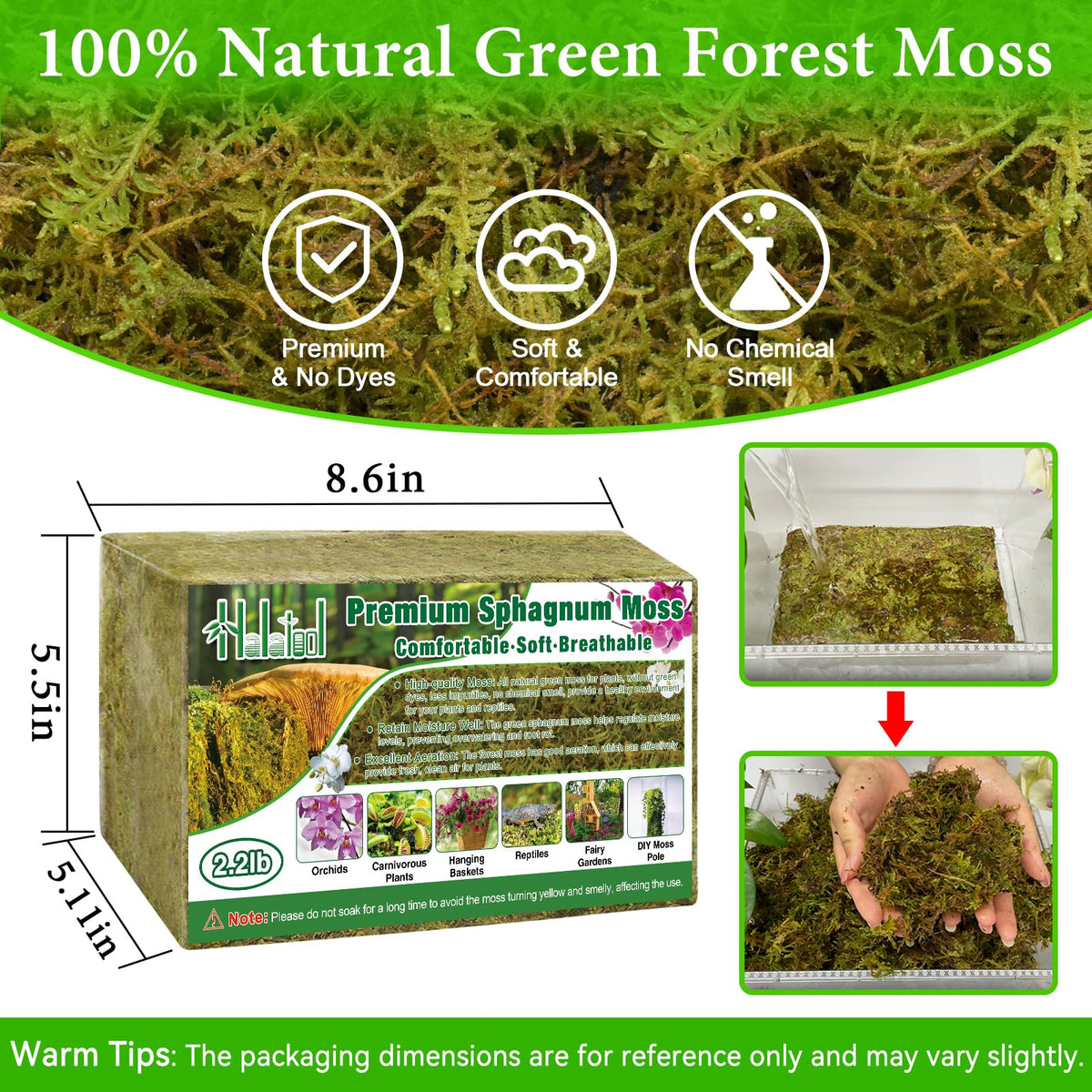 Halatool green moss pack enhances indoor plant humidity and natural color.