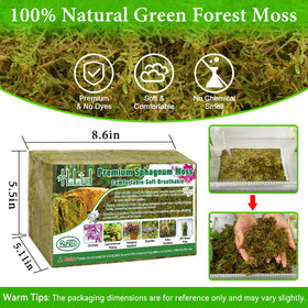 Halatool green moss pack enhances indoor plant humidity and natural color.