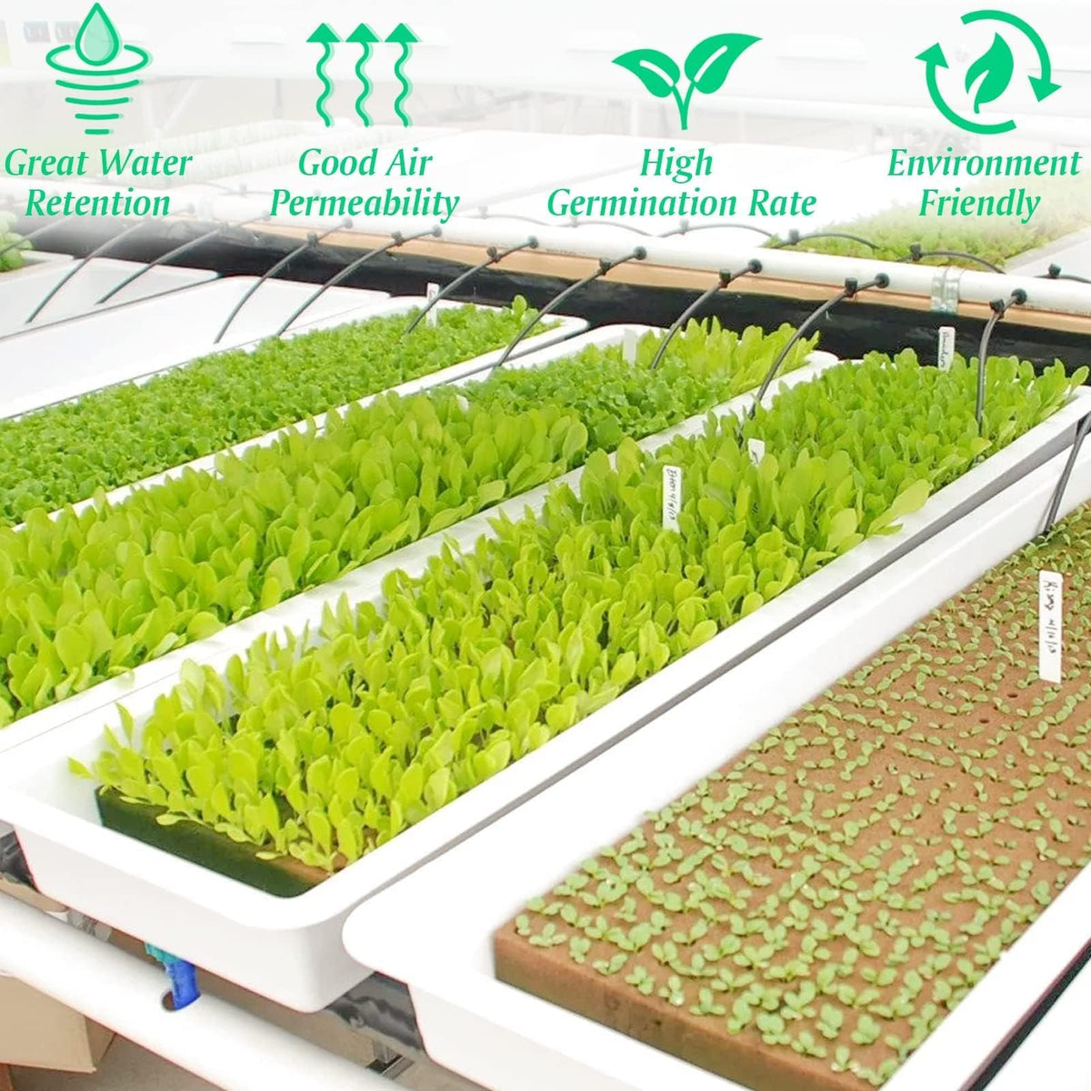 Halatool plugs in hydroponics system ready for net pot transfer.