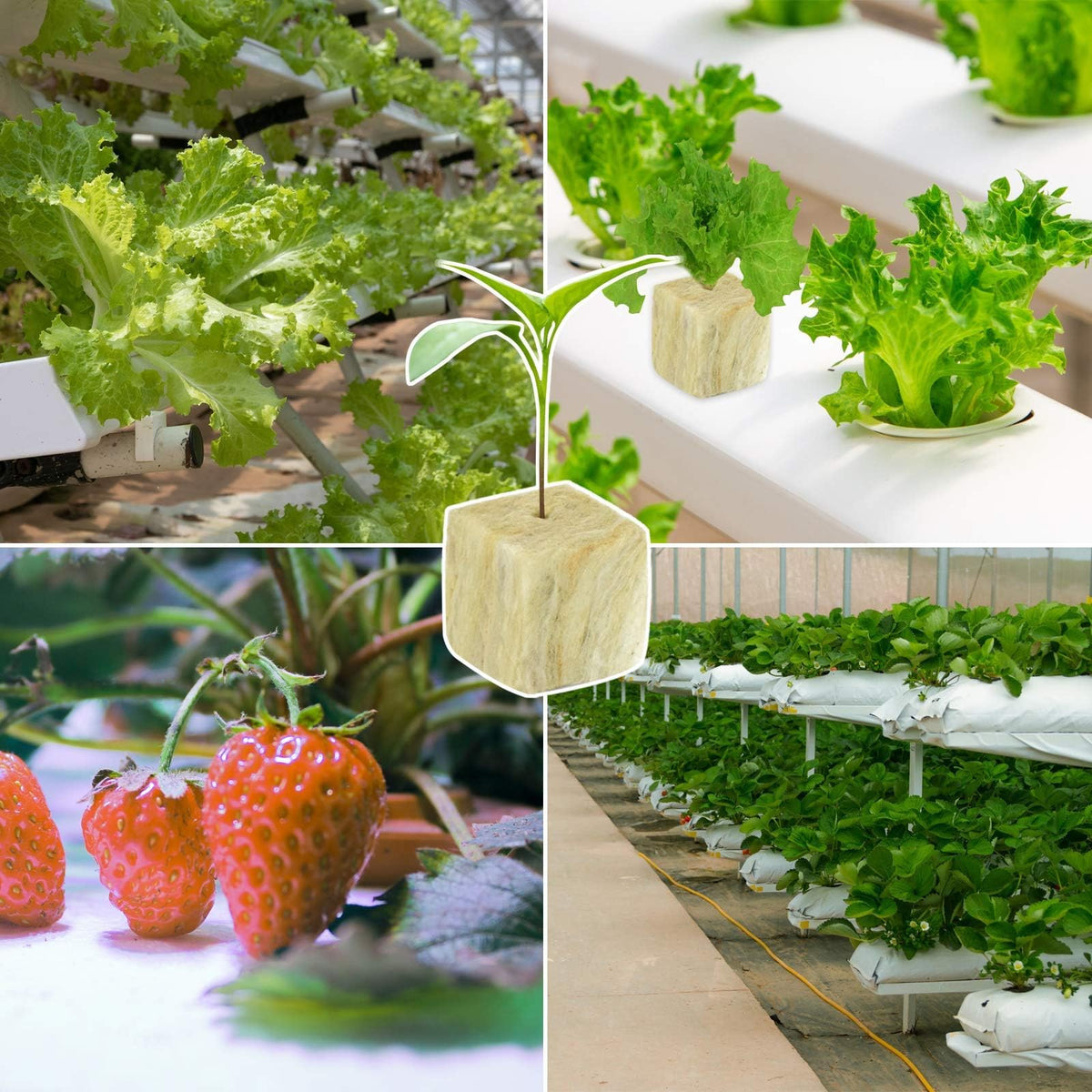 Halatool hydroponics rockwool care with reliable moisture management.