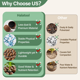Halatool LECA root system near orchid shows improved root support and stability.
