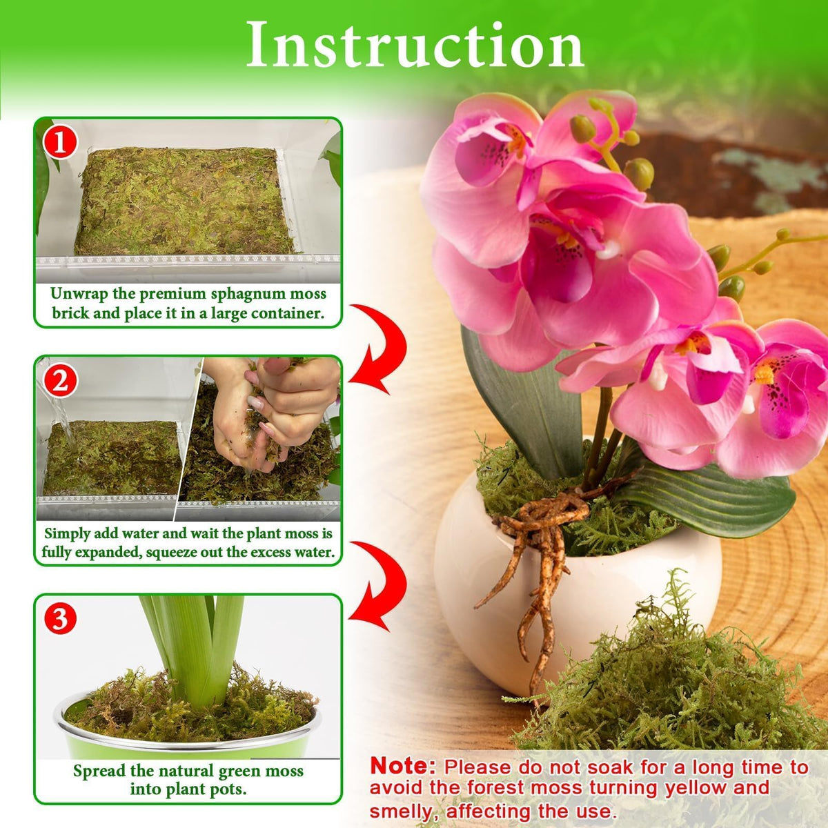 Halatool moss provides moisture retention and aeration for healthy plant roots.