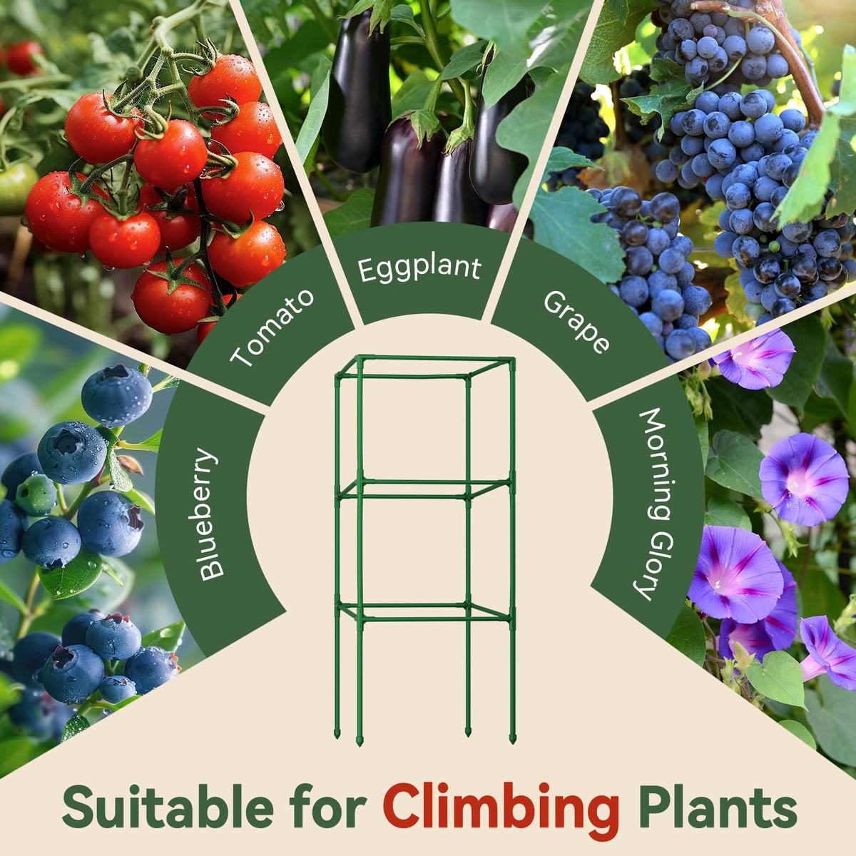 Halatool versatile plant frame supports tomatoes, cucumbers, eggplants and more