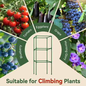 Halatool versatile plant frame supports tomatoes, cucumbers, eggplants and more