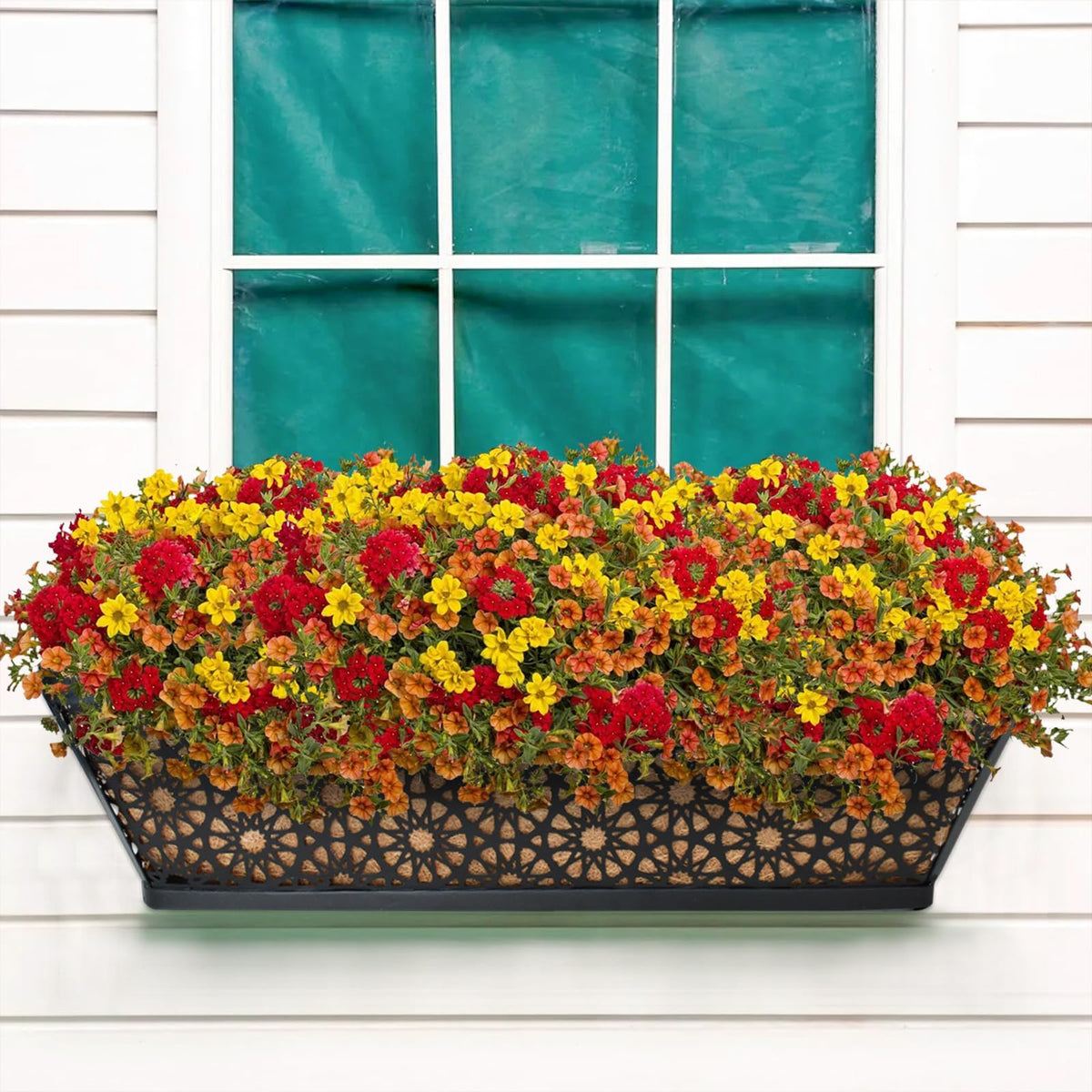 Halatool dual-pack window boxes ideal for home gardening and greening projects.