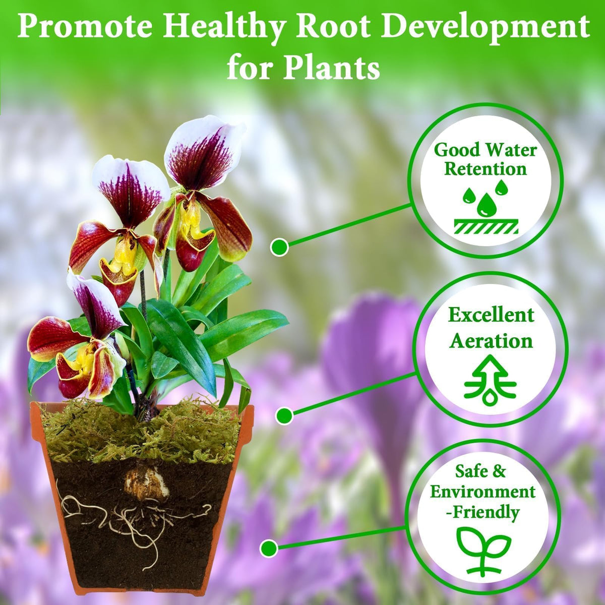 Halatool natural no-dyes green moss preserves rich color for decorative pots.