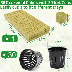 Halatool 2-inch net cups provide sturdy support for seedlings