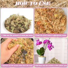 Halatool orchid moss for repotting supports root growth and moisture retention.
