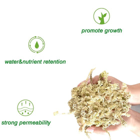 Halatool orchid moss lining hanging baskets supports healthy roots.