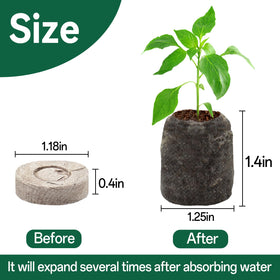 Halatool peat pellets expand when watered for quick germination setup
