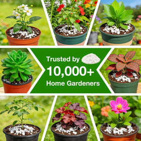 Halatool Perlite suits acid-loving plants when added to soil