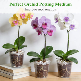 Halatool Perlite at the planter bottom enhances drainage and root protection