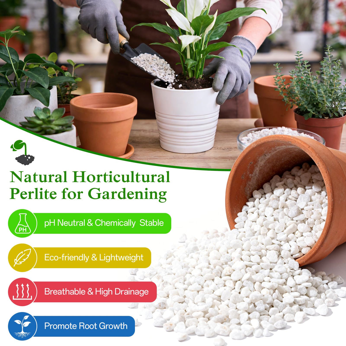 Halatool Perlite close-up reveals uniform grains for better soil porosity