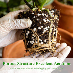 Halatool Perlite mixed into potting soil improves drainage and aeration