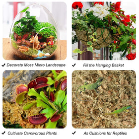 Halatool reptile habitat moss adds humidity and soft bedding.
