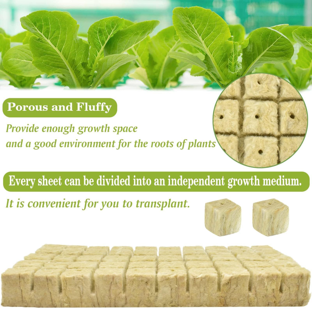 Halatool rockwool cube clone plugs enable reliable propagation.