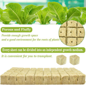 Halatool rockwool cube clone plugs enable reliable propagation.