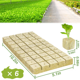 Halatool rockwool cubes close-up texture showing absorbent, breathable material.