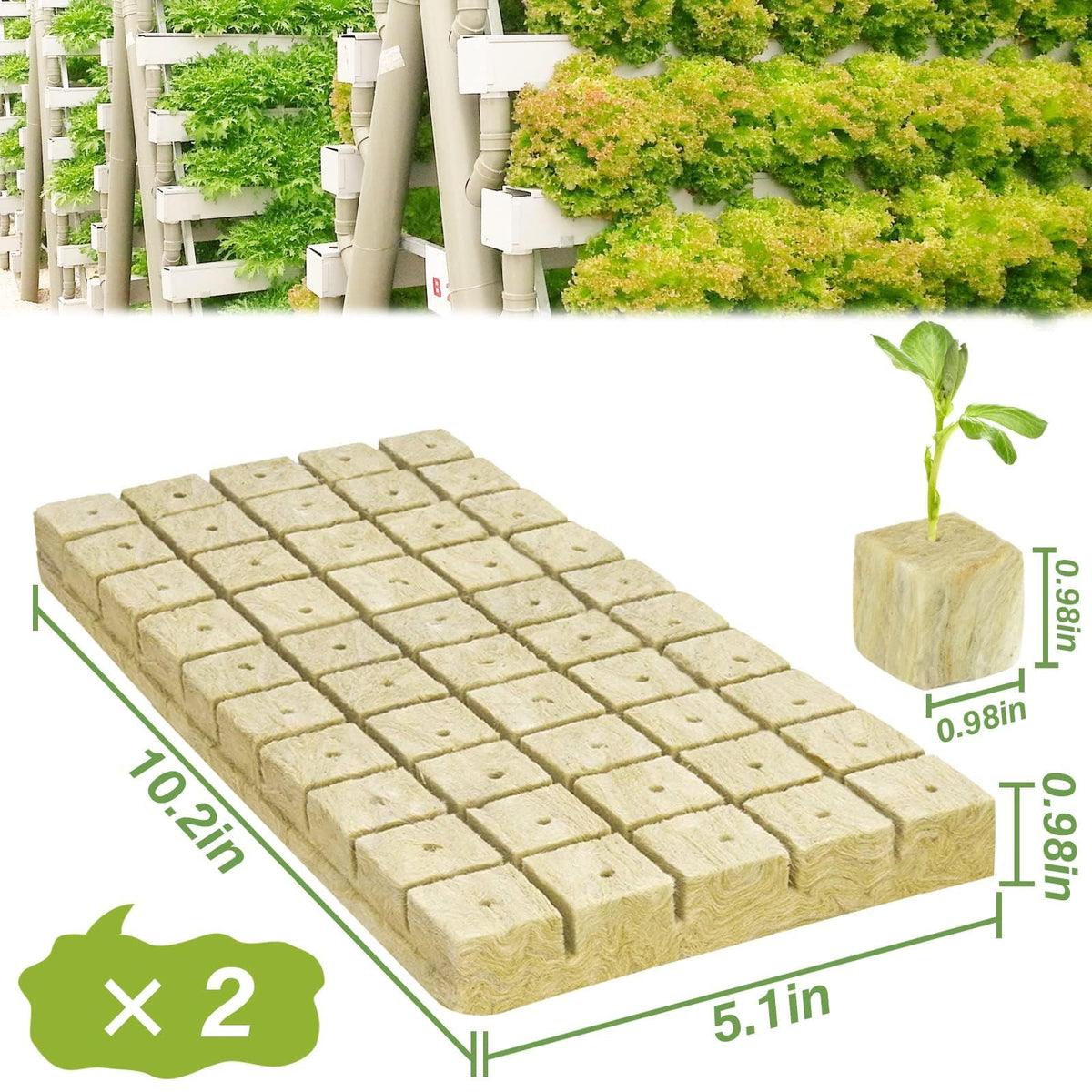 Halatool rockwool cube root growth promotes healthy root development.