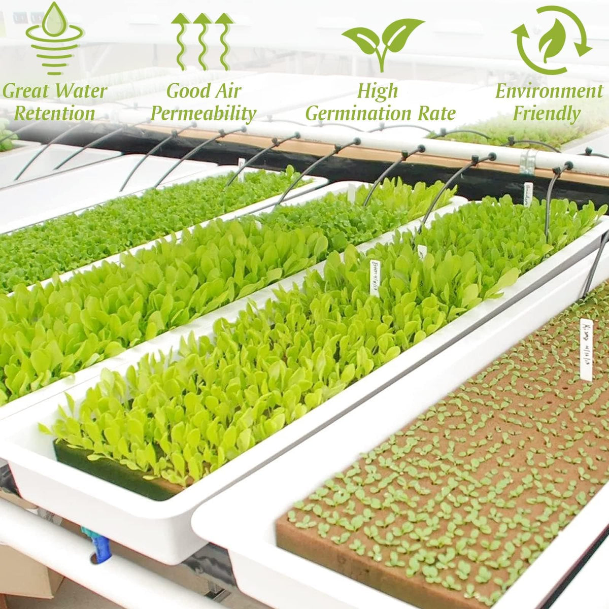 Halatool rockwool cube for soilless cultivation with efficient moisture control.