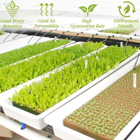 Halatool rockwool cube for soilless cultivation with efficient moisture control.