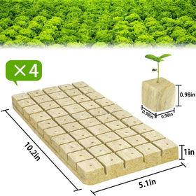 Halatool rockwool starter plugs in use support easier rooting and transplantation.