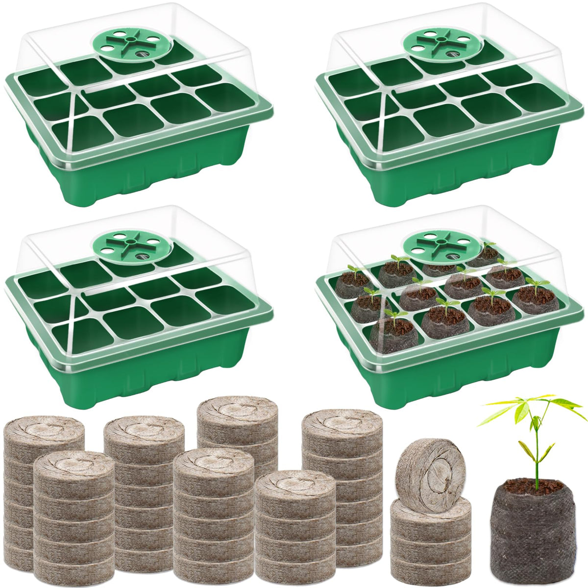 Halatool seed starter tray 4-pack showing 48-cell layout for organized germination