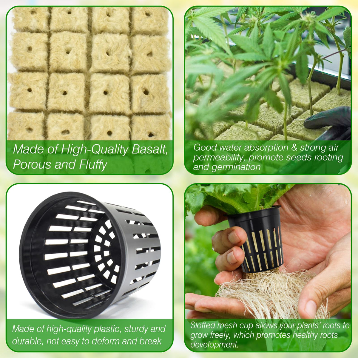 Halatool seed starting cubes promote strong seedling establishment