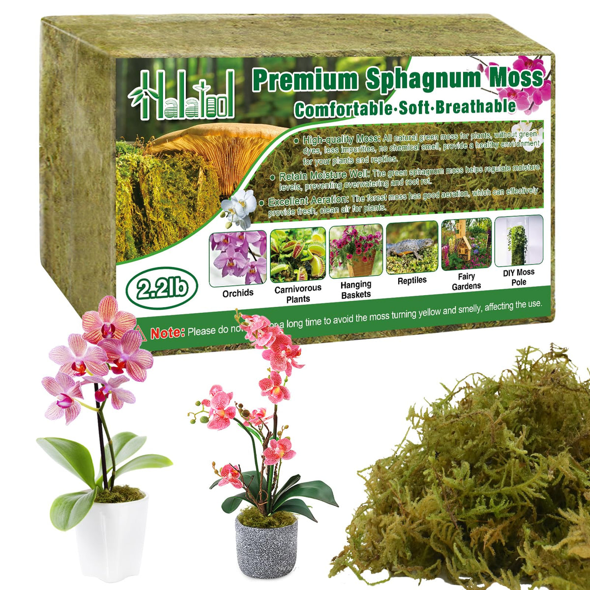 Halatool sphagnum moss brick expands when soaked, ideal for orchid repotting.