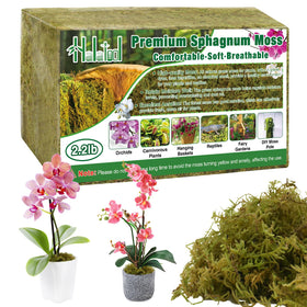 Halatool sphagnum moss brick expands when soaked, ideal for orchid repotting.