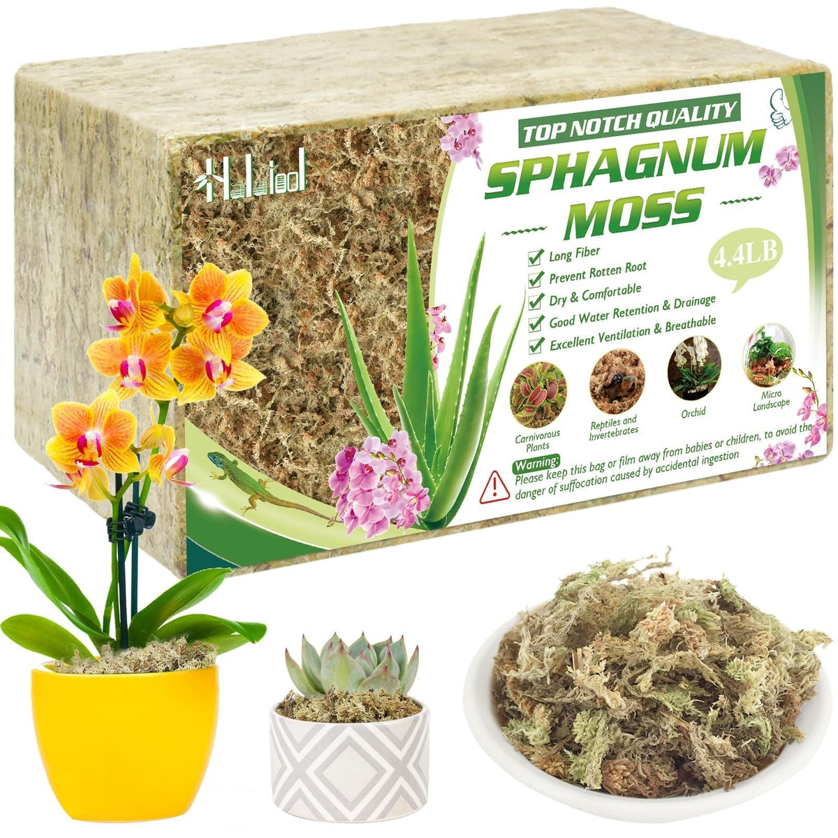 Halatool sphagnum moss brick before soaking ready to hydrate for orchid repotting.
