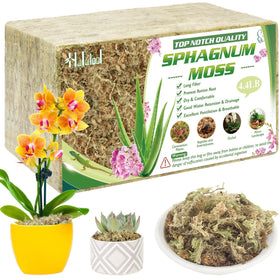 Halatool sphagnum moss brick before soaking ready to hydrate for orchid repotting.