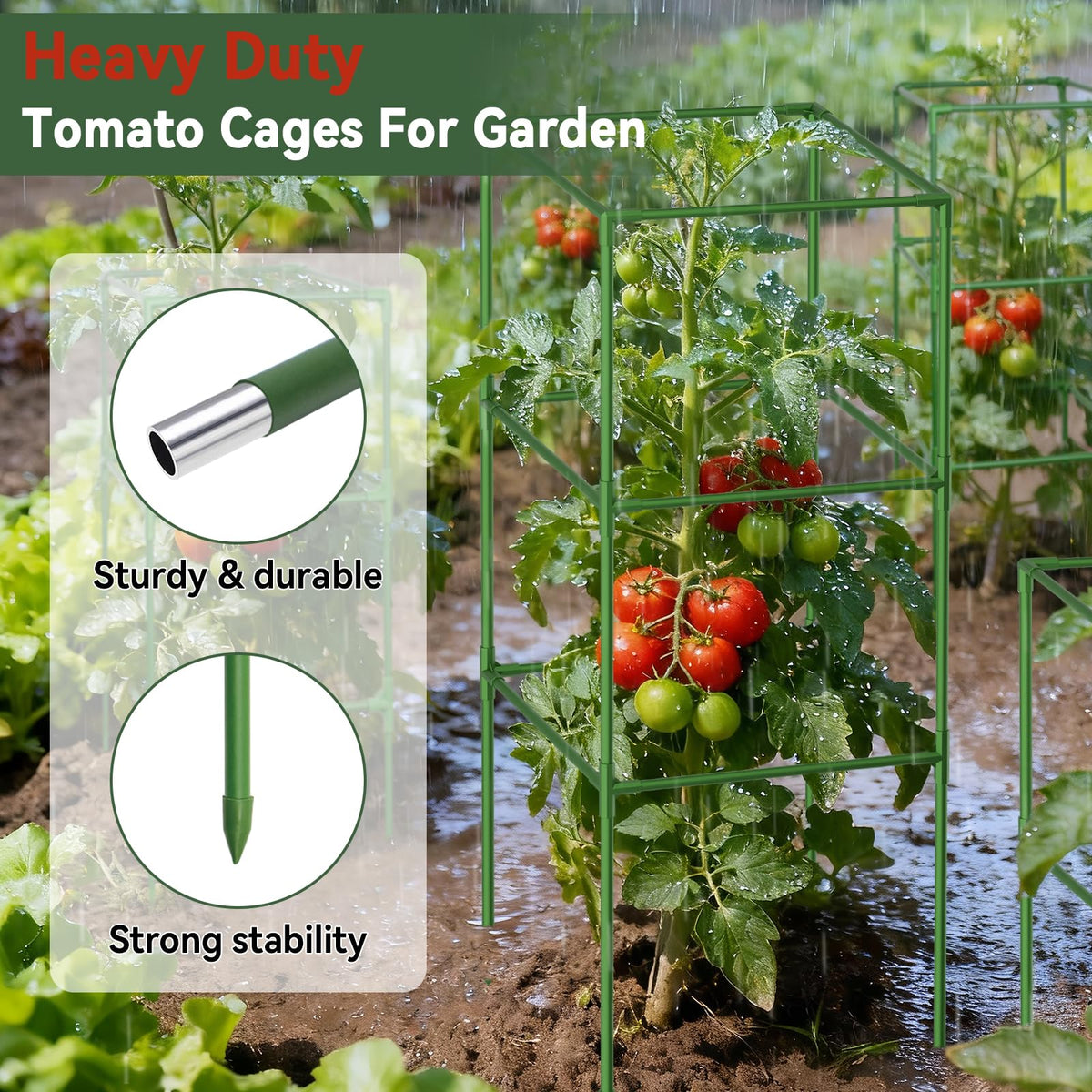 Halatool square tomato cage assembly-ease demonstrates quick setup without tools