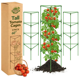 Halatool tomato cage 60-inch height supports tall plants with improved airflow.