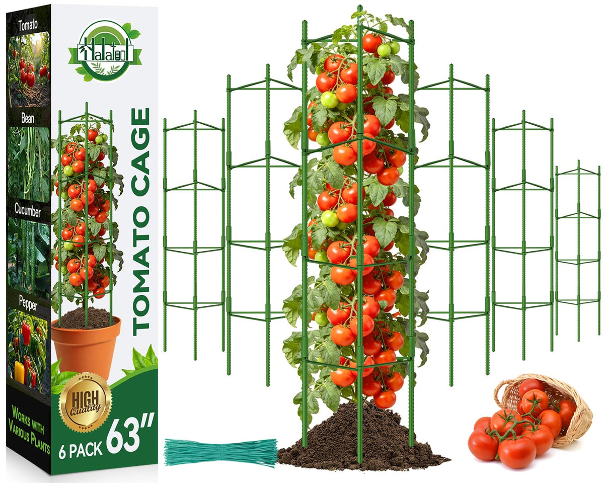 Halatool 63-inch tomato cage assembled providing vertical support of climbing plants.