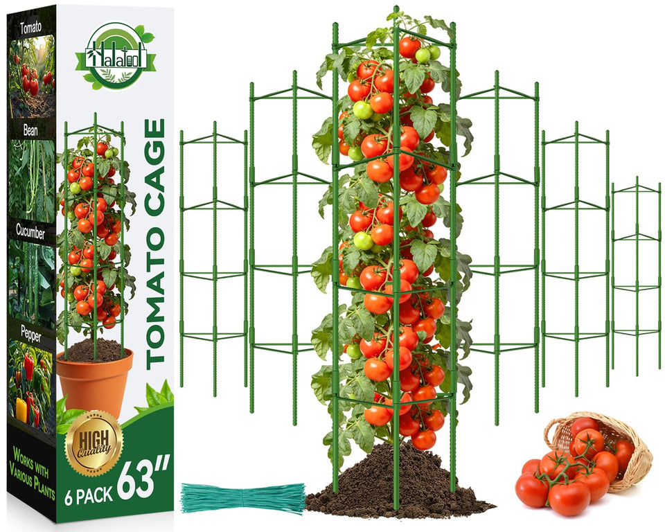 Halatool 63-inch tomato cage assembled providing vertical support of climbing plants.