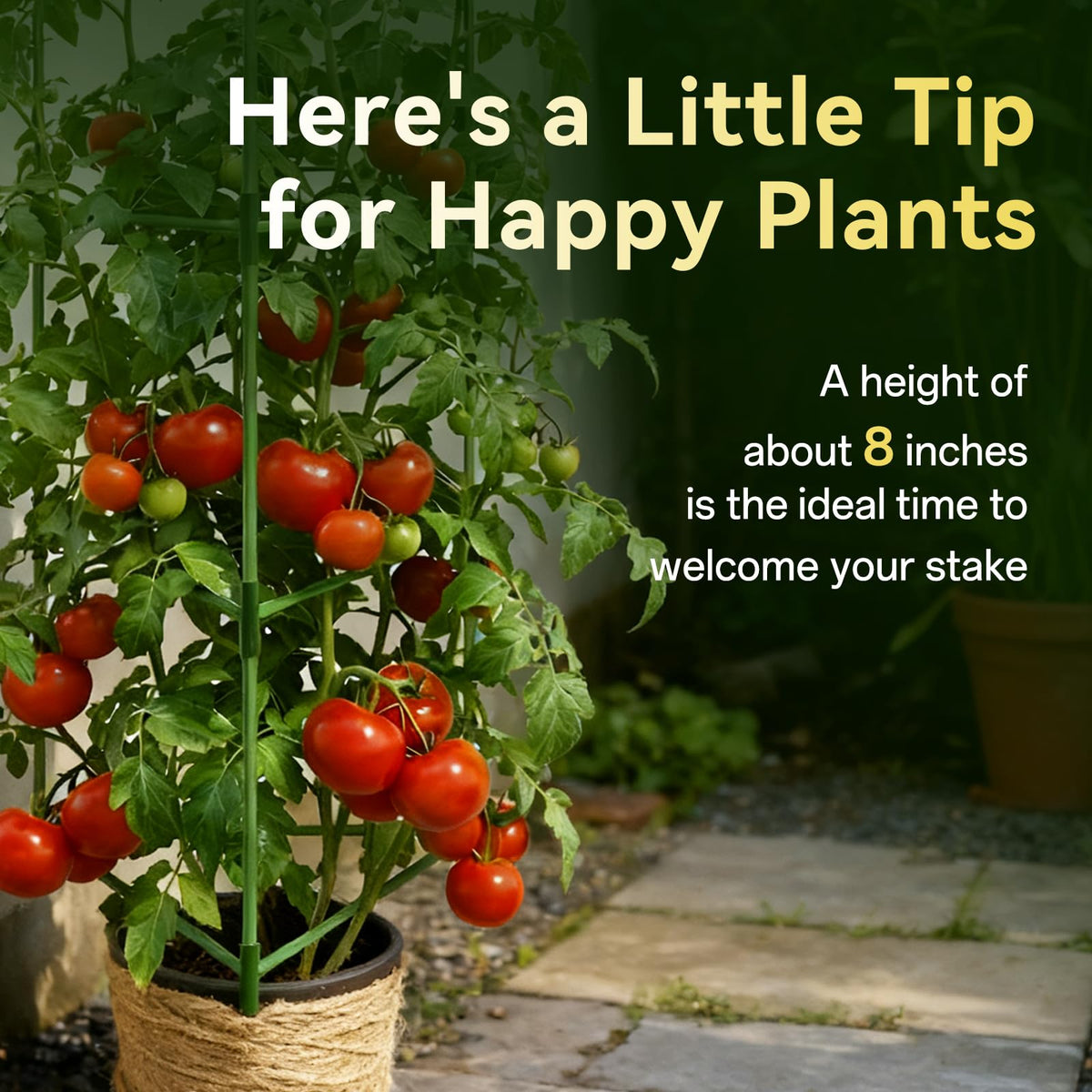 Halatool helps organize garden space with tall, tidy plants.