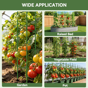 Halatool tomato cages support vertical growth for better air and sun exposure.