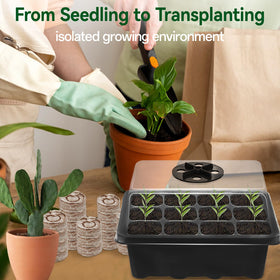 Halatool transparent lid lets sunlight reach seeds for faster, even growth.