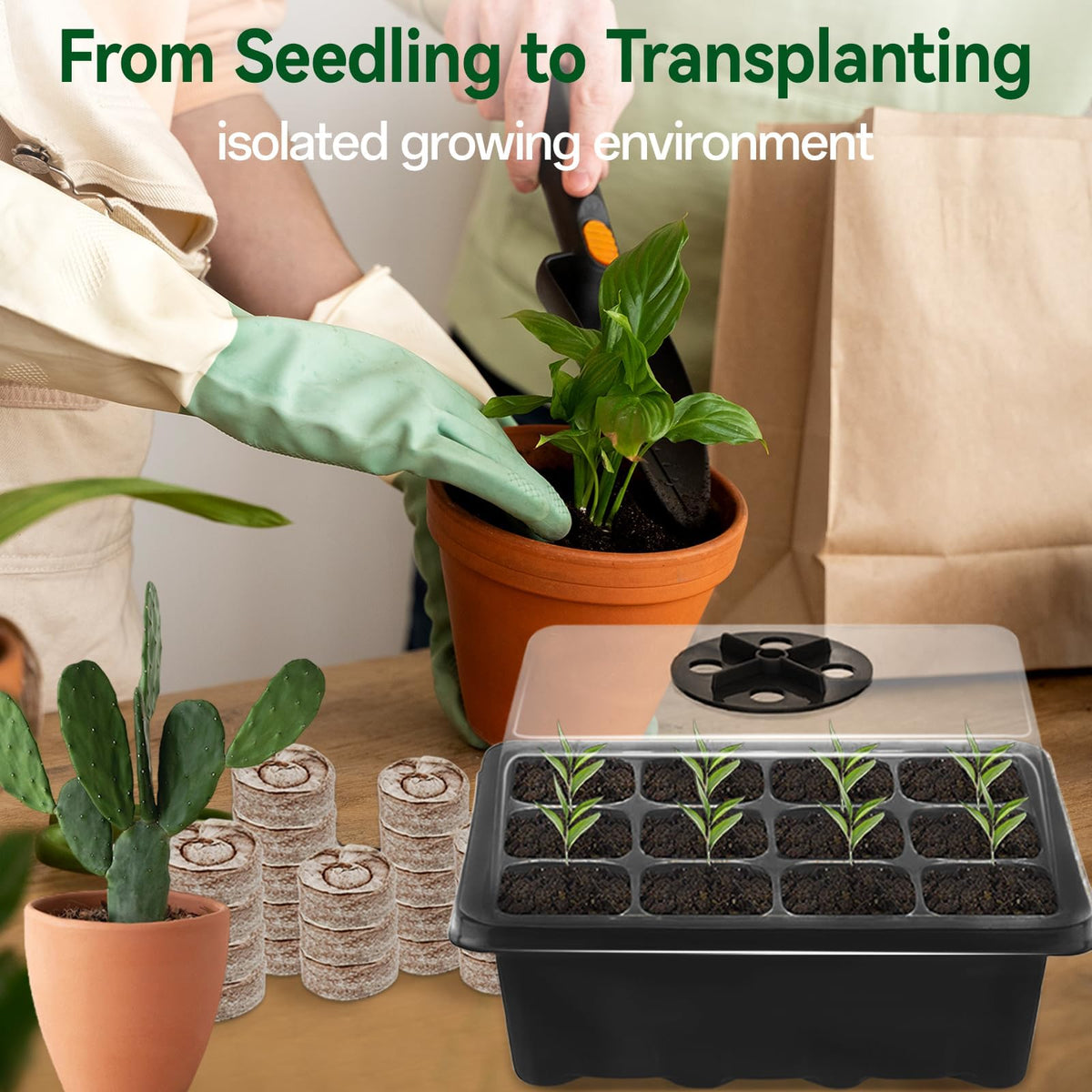Halatool transparent lid allows light to reach seeds while keeping warmth