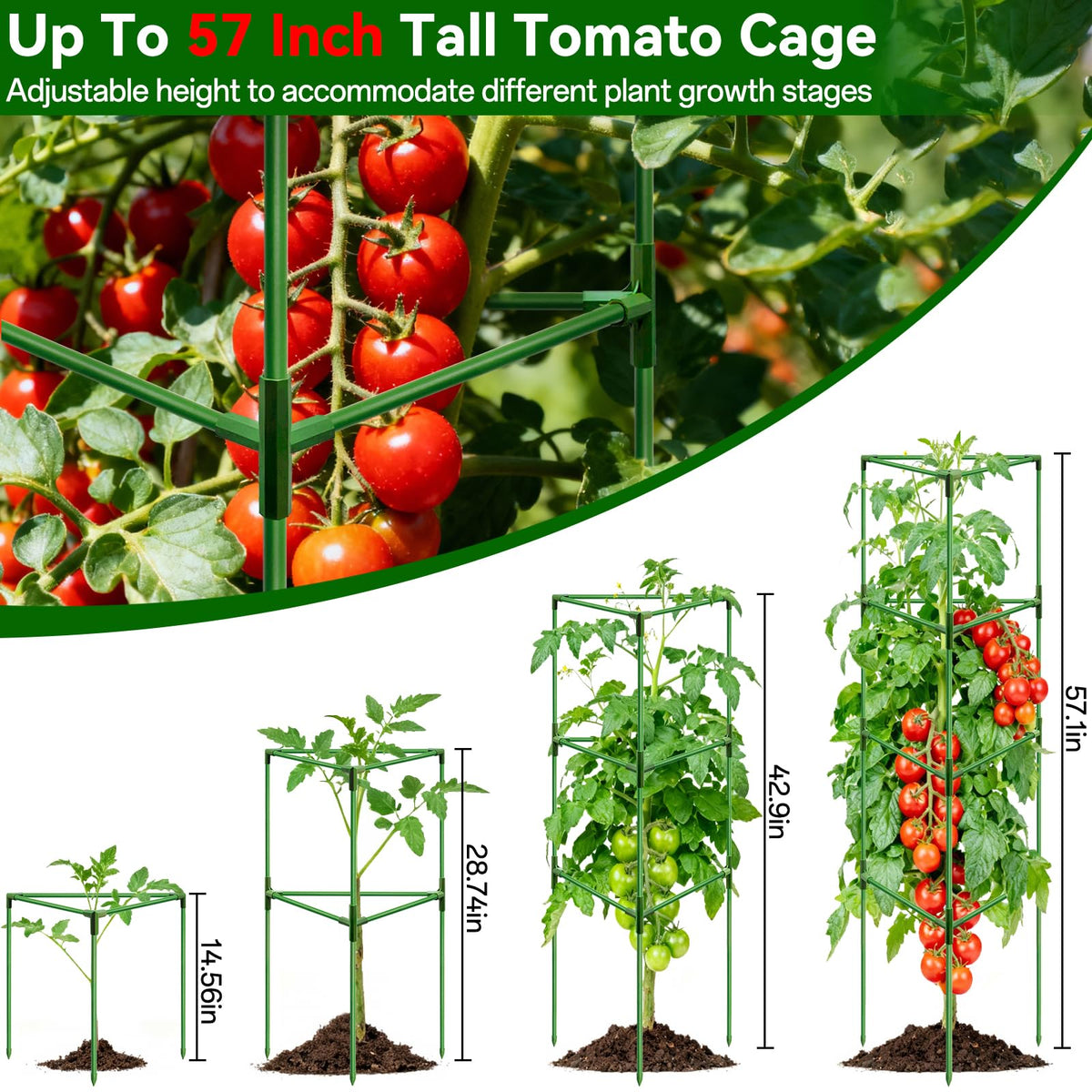 Halatool triangular frame tomato trellis side view highlights stable design.