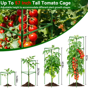 Halatool triangular frame tomato trellis side view highlights stable design.