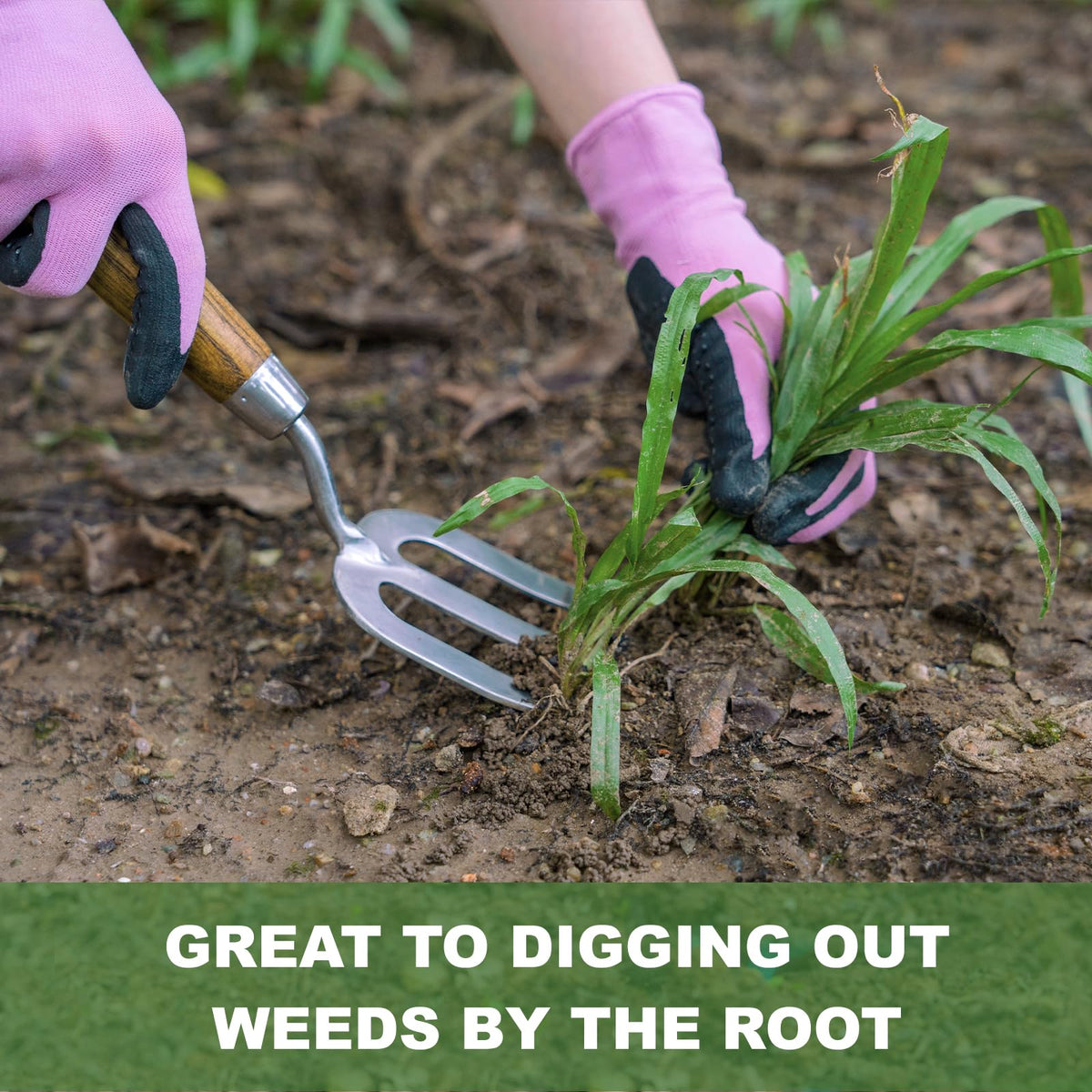 Haliaeetus hand fork in use for effortless weed removal and soil loosening