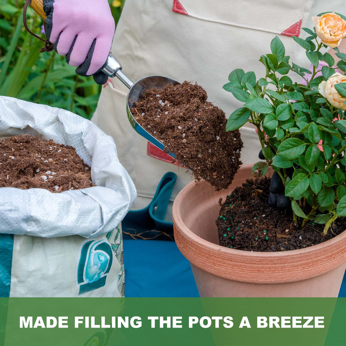 Haliaeetus scoop for repotting helps precise soil placement