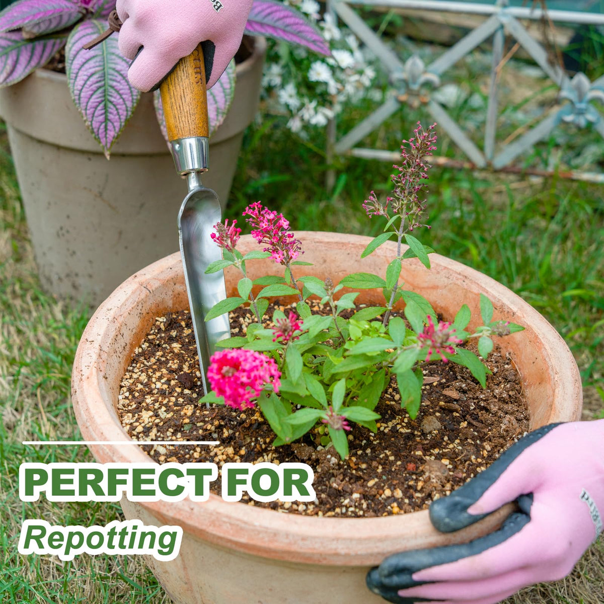 Haliaeetus Seeding Widger stainless-steel head provides durable digging in daily use.