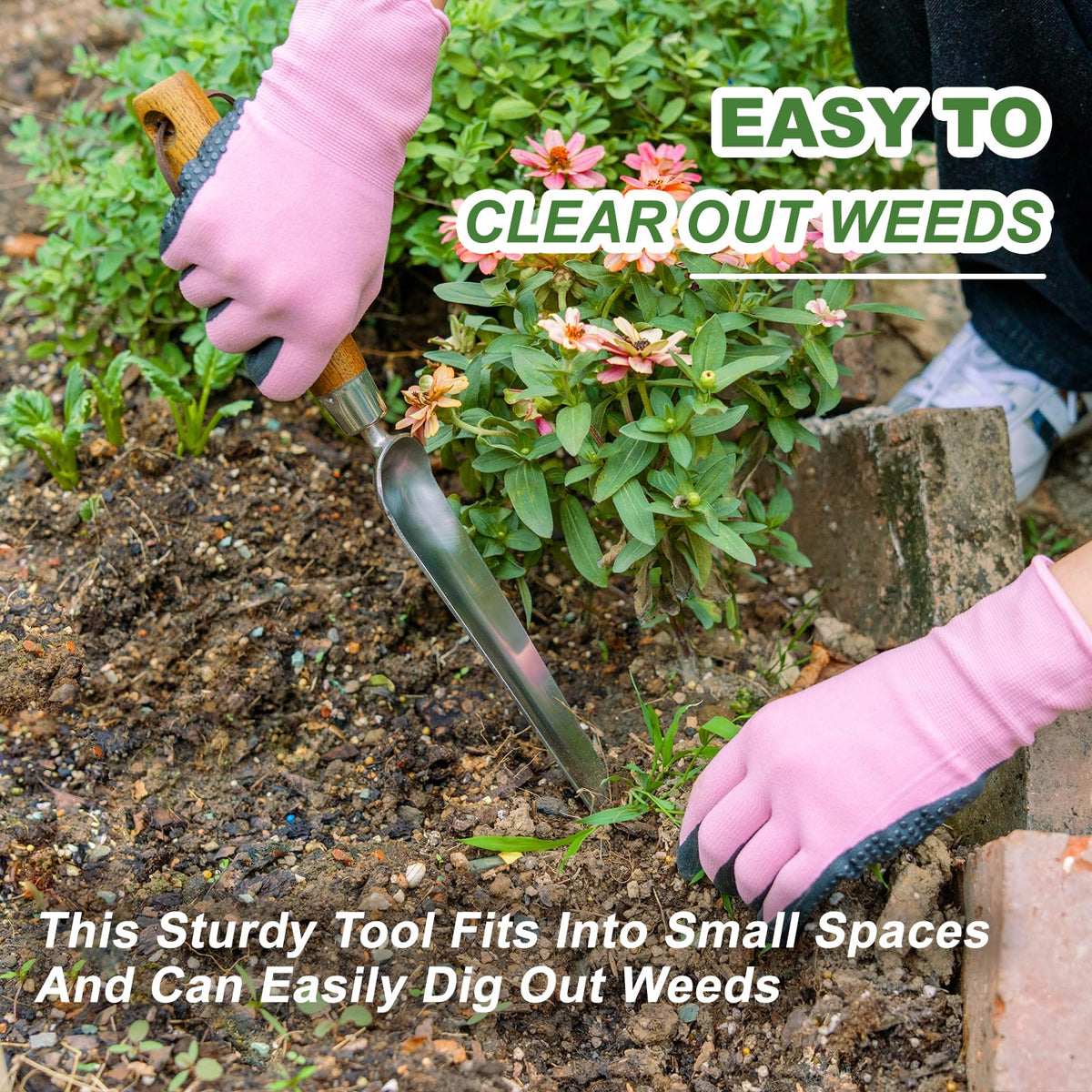 Haliaeetus Seeding Widger helps transplant seedlings with minimal root disturbance.