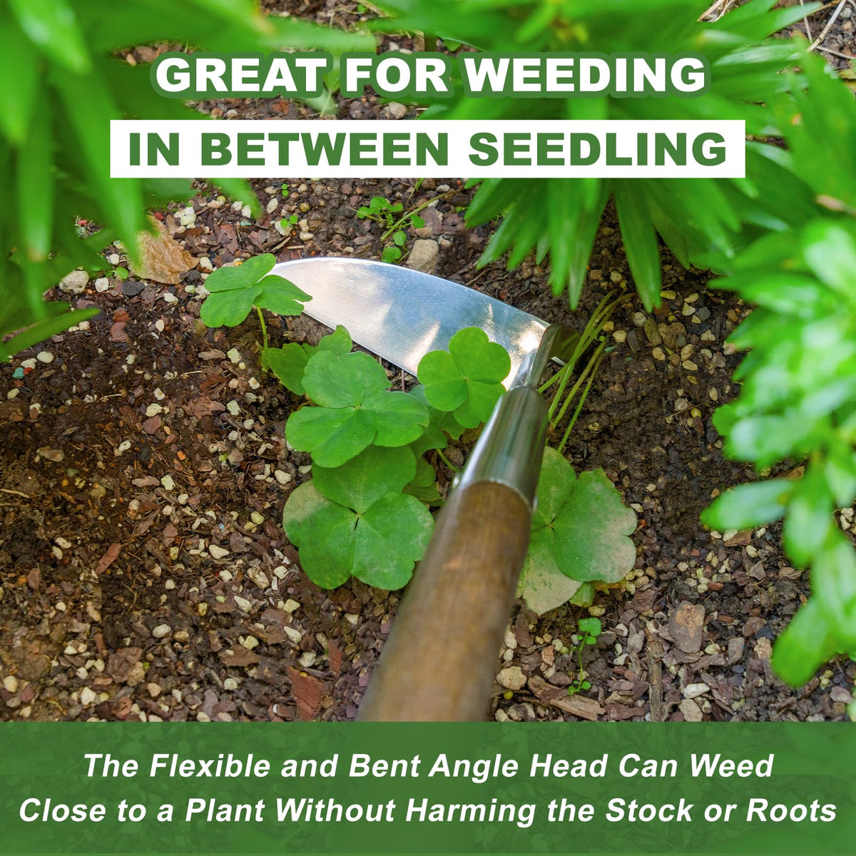 Haliaeetus Sickle Hoe ergonomic wooden handle reduces fatigue during weeding.